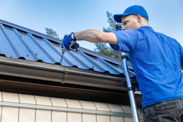 Best Skylight Installation and Repair  in South Gull Lake, MI