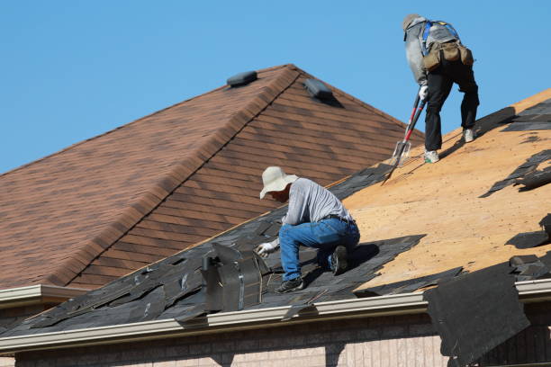 Best Metal Roofing Installation  in South Gull Lake, MI