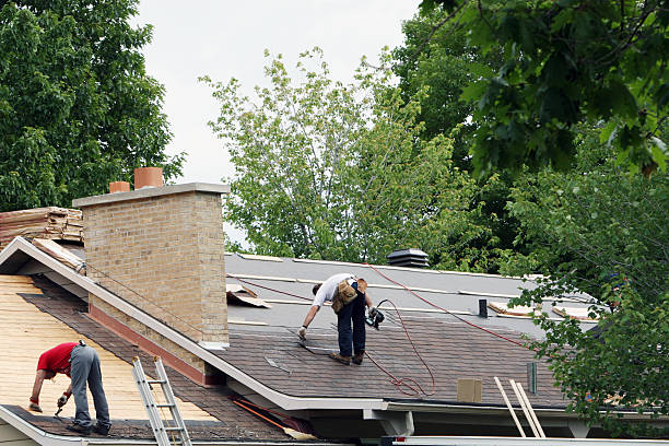 Best Roof Insulation Installation  in South Gull Lake, MI