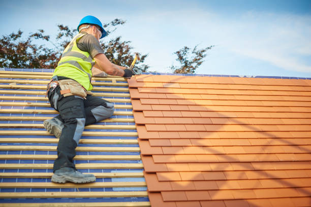 Best Asphalt Shingle Roofing  in South Gull Lake, MI