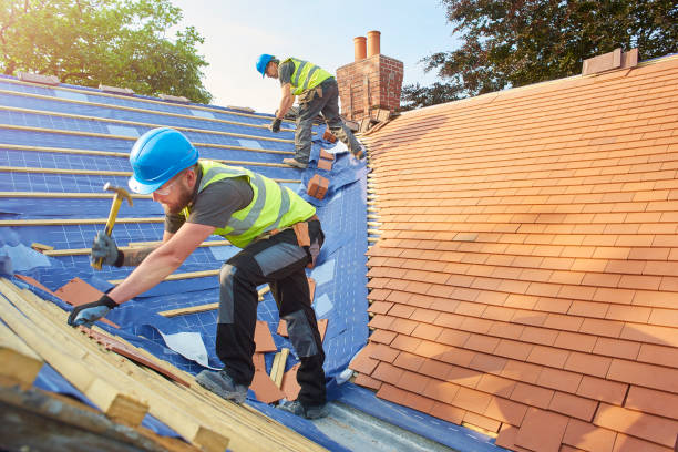Best Roof Moss and Algae Removal  in South Gull Lake, MI